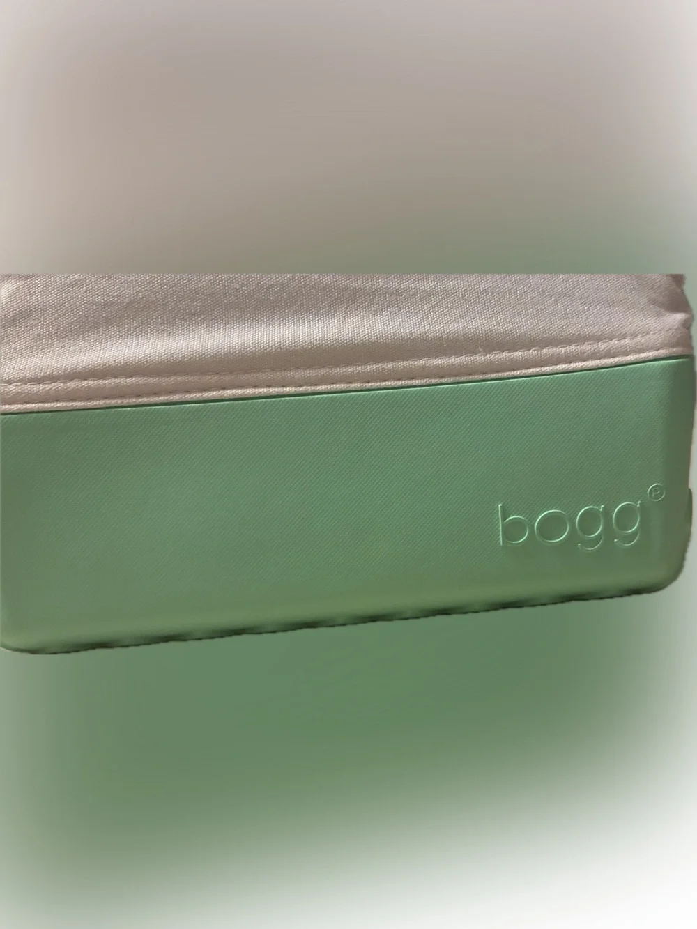 Beauty And The Bogg 9x7x3 Cosmetic Makeup Travel Bag (Mint Chip)